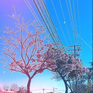 Meet your Posher, Lydia